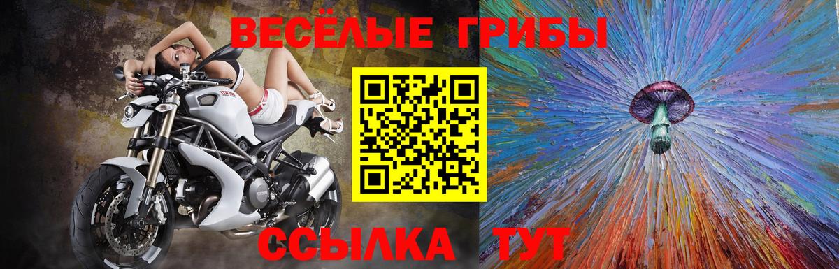Псилоцибиновые грибы ЛСД Кыштым