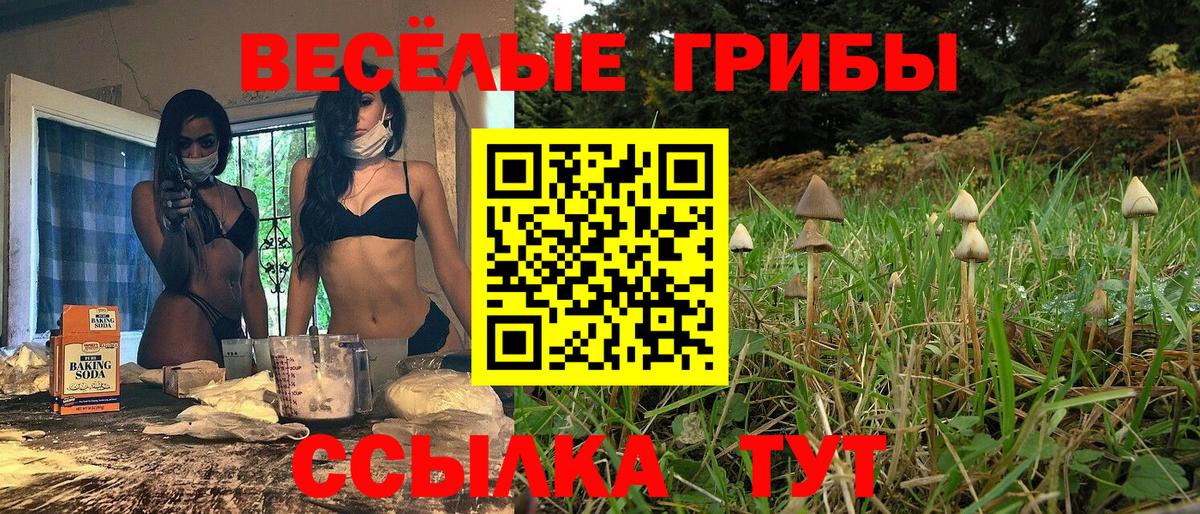 Кыштым  Псилоцибиновые грибы Magic Shrooms  Вход с VPN 